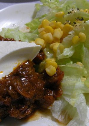 煮込みハンバーグのヨーグルトソース-レシピのメイン写真