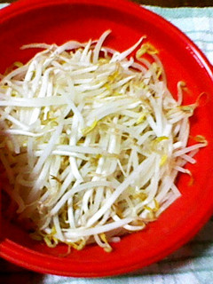 ストック用・電子レンジで蒸しもやし。-レシピのメイン写真