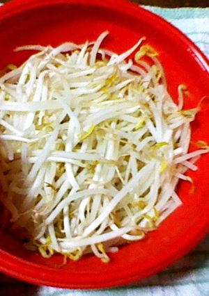 ストック用・電子レンジで蒸しもやし。-レシピのメイン写真