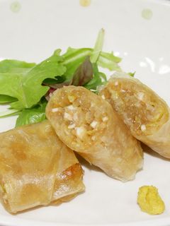 お手軽焼き春巻き-レシピのメイン写真