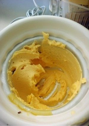 生クリームなしのバニラアイス-レシピのメイン写真