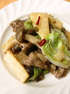 たけのこと牛肉の炒め物-レシピのメイン写真