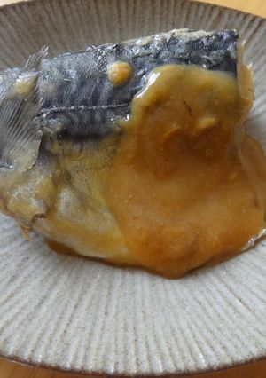 子供も喜ぶ　臭みなし甘めの鯖の味噌煮-レシピのメイン写真