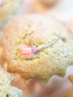 桜抹茶マドレーヌ-レシピのメイン写真