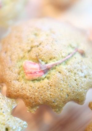 桜抹茶マドレーヌ-レシピのメイン写真