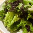 さっぱり♪韓国風レタスと海苔のサラダ