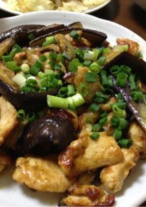 カレーペーストで☆鶏胸肉とナス炒め-レシピのメイン写真