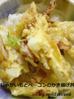 簡単 節約♪【かき揚げ丼】-レシピのメイン写真