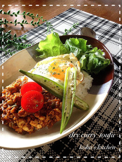 豆腐で簡単♪ドライカレー-レシピのメイン写真