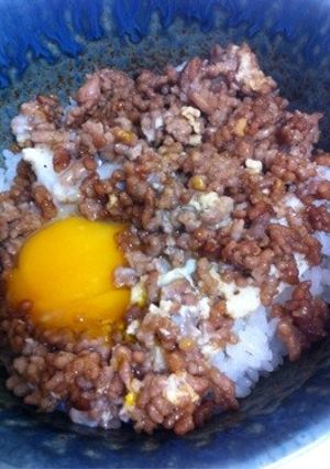 手抜きでもおいしい!ひき肉丼!-レシピのメイン写真