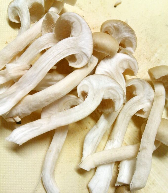 貧乏なので【倍々しめじちゃん冷凍保存】 by スパルタ弥勒さん