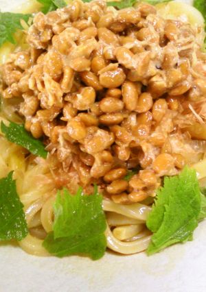 簡単・満腹✿お一人様の朝・夜食納豆うどん-レシピのメイン写真