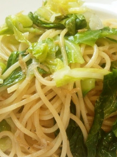 春☆キャベツと桜エビのパスタ-レシピのメイン写真