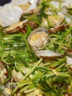 あさりと豆苗のピリ辛炒め-レシピのメイン写真