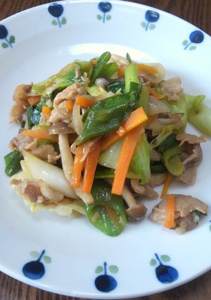 ご飯が進む☆ネギたっぷり野菜の炒めもの-レシピのメイン写真