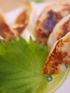 梅しそチーズ餃子♥-レシピのメイン写真