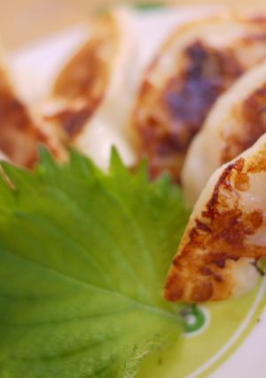 梅しそチーズ餃子♥-レシピのメイン写真