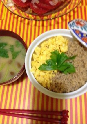 鶏そぼろ丼☻-レシピのメイン写真