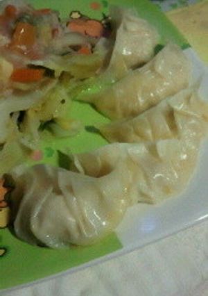 ヘルシー餃子-レシピのメイン写真