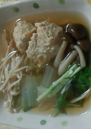 鶏つくね鍋…☆☆☆-レシピのメイン写真