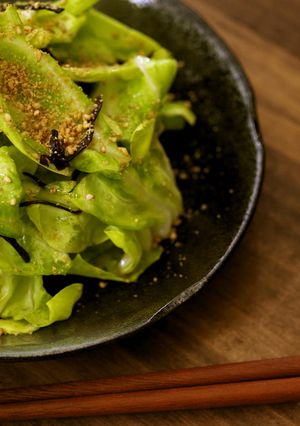 春キャベツの塩昆布和え-レシピのメイン写真