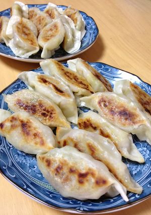 白菜と挽肉だけ!簡単餃子♪-レシピのメイン写真