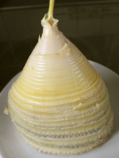 春真っ盛り!筍のゆで方~大鍋を使って~-レシピのメイン写真