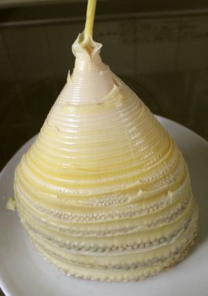 春真っ盛り！筍のゆで方～大鍋を使って～-レシピのメイン写真