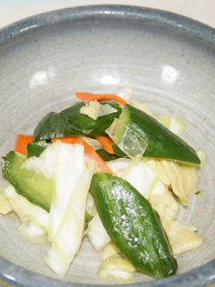 春キャベツと湯葉の甘酢漬け-レシピのメイン写真