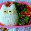 小トトロ弁当