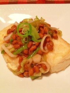 揚げ出し豆腐のネギ納豆かけ-レシピのメイン写真