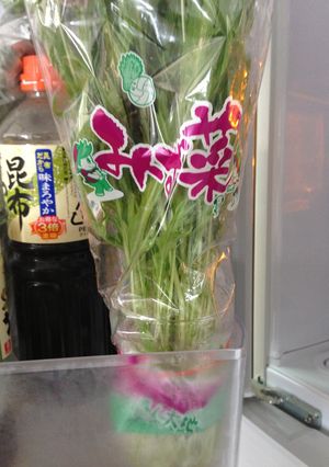 水菜・セロリ等の保存方法♪-レシピのメイン写真
