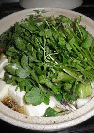 鶏肉とセリの鍋-レシピのメイン写真