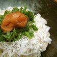 ふっくら❤釜揚げしらす丼 うめ+大葉のせ