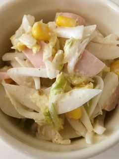 たっぷり白菜と新玉ねぎの胡麻マヨサラダ-レシピのメイン写真