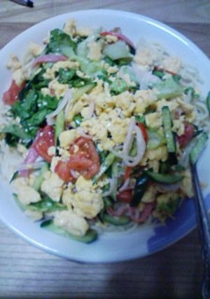野菜たっぷりサラダパスタ-レシピのメイン写真