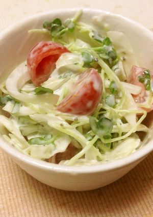 カイワレ＆ミニトマトのヨーグルトサラダ-レシピのメイン写真
