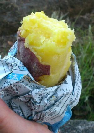 焚き火で焼き芋-レシピのメイン写真