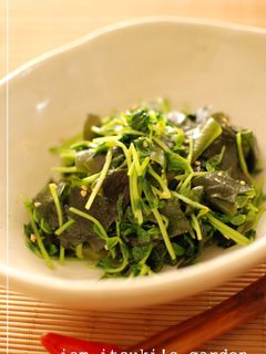 豆苗とわかめのナムル風-レシピのメイン写真