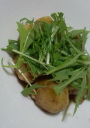 新じゃがと新玉ねぎで鶏じゃが♪-レシピのメイン写真