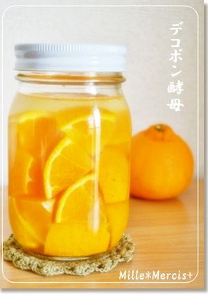 簡単に出来る♪デコポン酵母-レシピのメイン写真