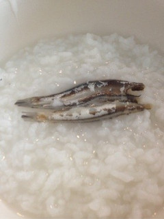 煮干粥-レシピのメイン写真