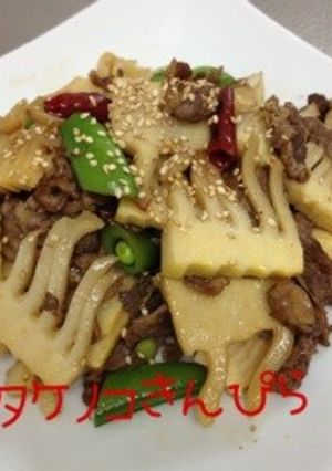 竹の子と牛肉のきんぴら-レシピのメイン写真