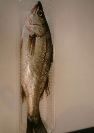 Mei-mei亭☆魚まるごといただきます！その１－スズキ－-レシピのメイン写真