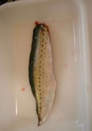 Mei-mei亭☆魚まるごといただきます！その2－サバ－-レシピのメイン写真