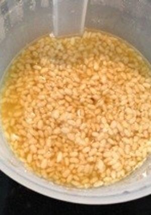 ヨーグルトメーカーを使って塩麹-レシピのメイン写真