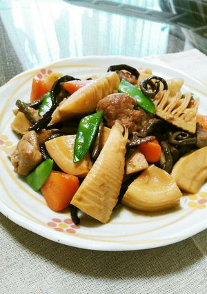 ❀たけのこ❀ぜんまい❀鶏肉の煮物❀-レシピのメイン写真