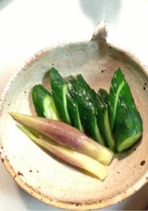 簡単！美味！味噌ヨーグルト漬け-レシピのメイン写真