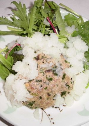 ニラとシイタケ入りハンバーグおろし添え-レシピのメイン写真