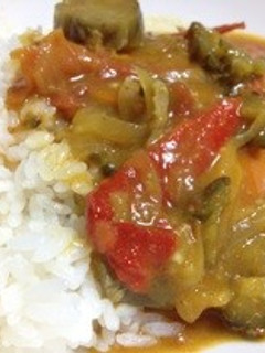 家庭菜園の夏野菜カレー-レシピのメイン写真